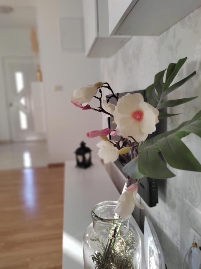 Apartments Karla I Ivano Mandre Εξωτερικό φωτογραφία