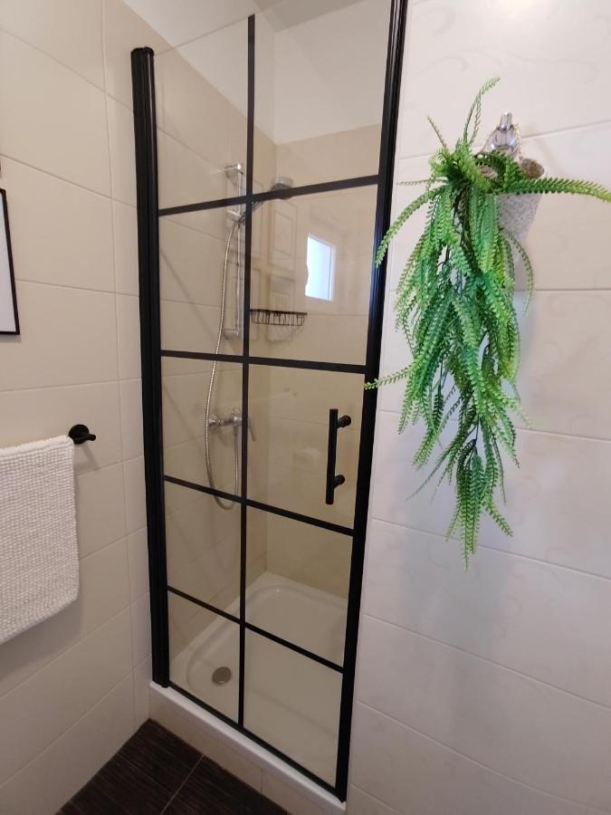 Apartments Karla I Ivano Mandre Εξωτερικό φωτογραφία