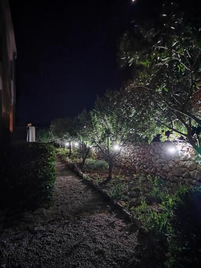 Apartments Karla I Ivano Mandre Εξωτερικό φωτογραφία
